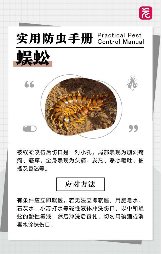 在沙發上光腳睡了一覺，男子腳掌「腫成豬腳」差點截肢！