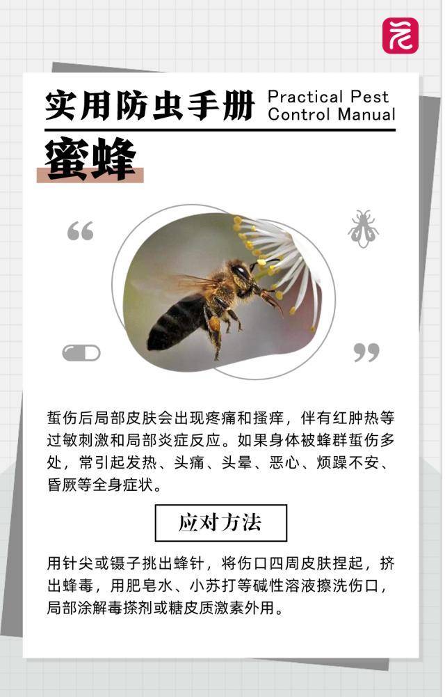 在沙發上光腳睡了一覺，男子腳掌「腫成豬腳」差點截肢！