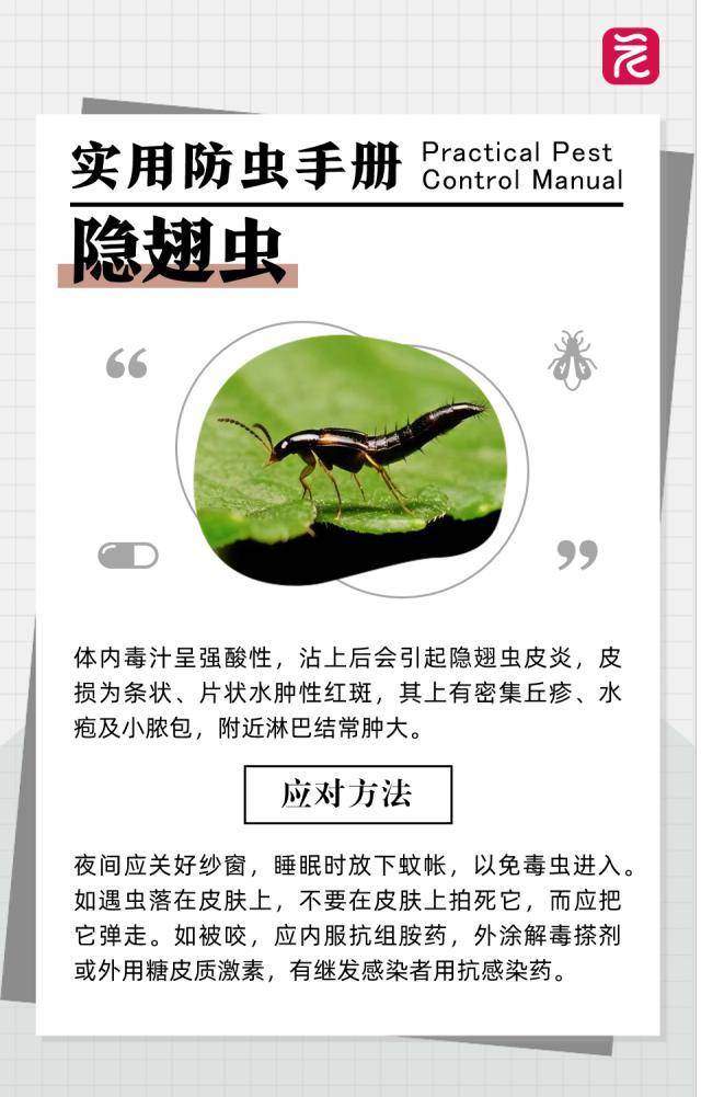 在沙發上光腳睡了一覺，男子腳掌「腫成豬腳」差點截肢！