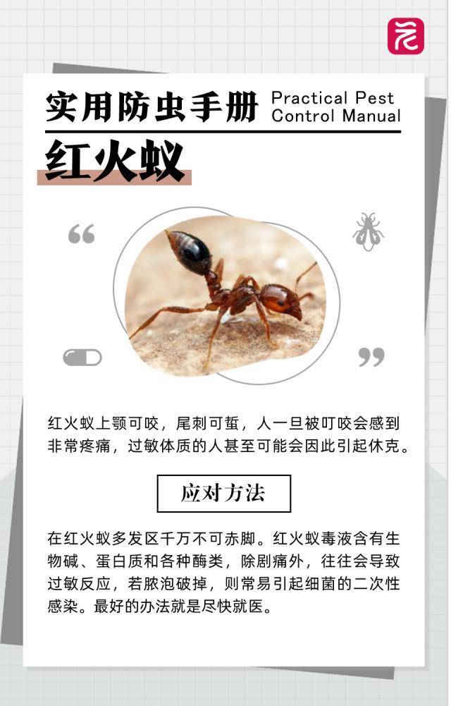 在沙發上光腳睡了一覺，男子腳掌「腫成豬腳」差點截肢！