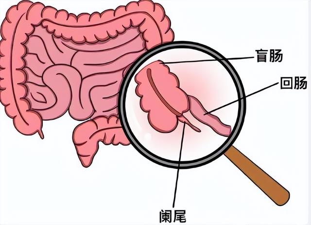 46歲陳喬恩馬來西亞出事！驚爆「晚上直接進手術房開刀」：肚子被開3個洞