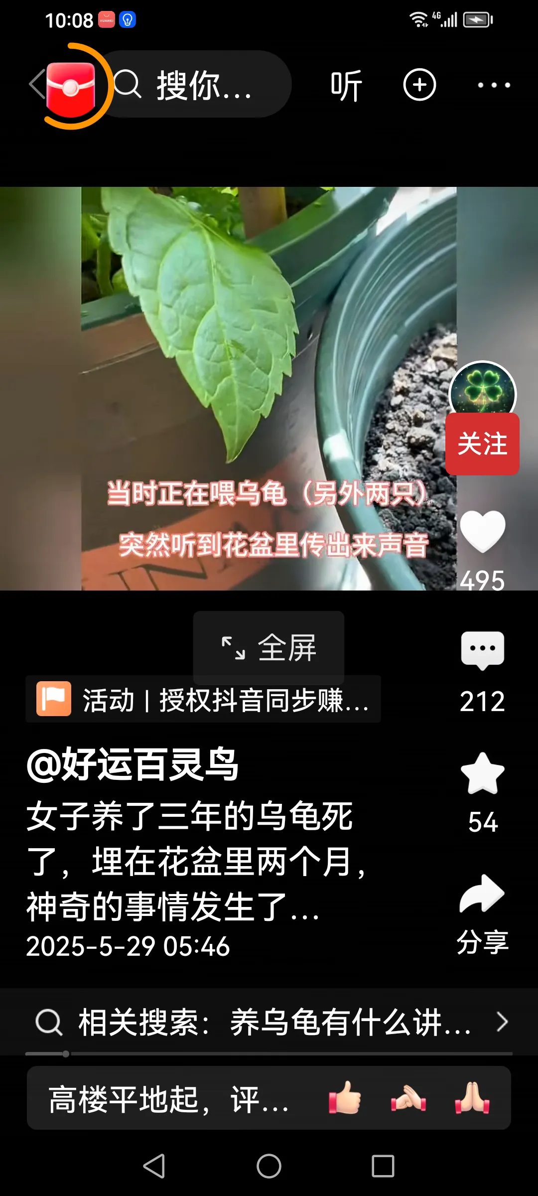 驚喜！烏龜「假死」埋盆栽 數日後竟傳出怪聲「挖出驚見生命奇蹟」