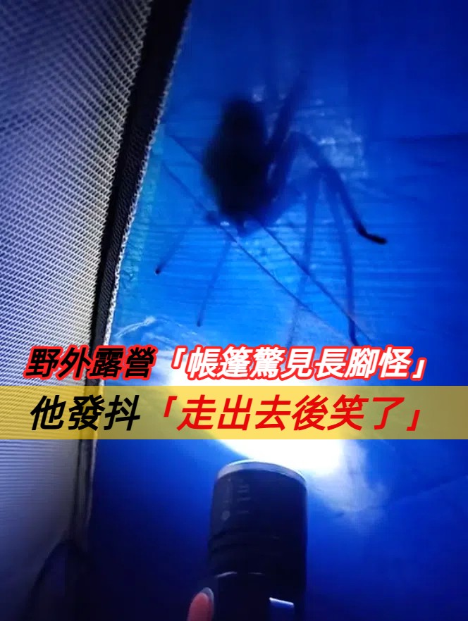 驚險又驚喜！巴西山頂露營遇「八腳訪客」 男子暖心舉動獲讚
