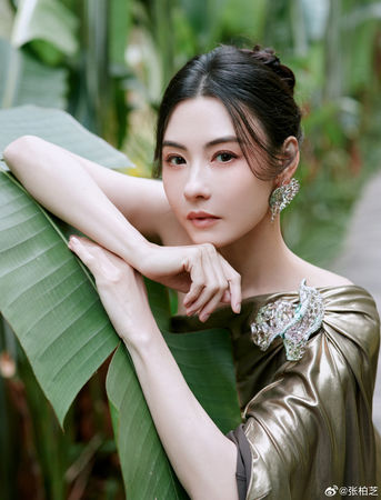 當年不雅照身敗名裂！張柏芝首度「還原跟陳冠希始末」　悲訴：「我信錯人了...」