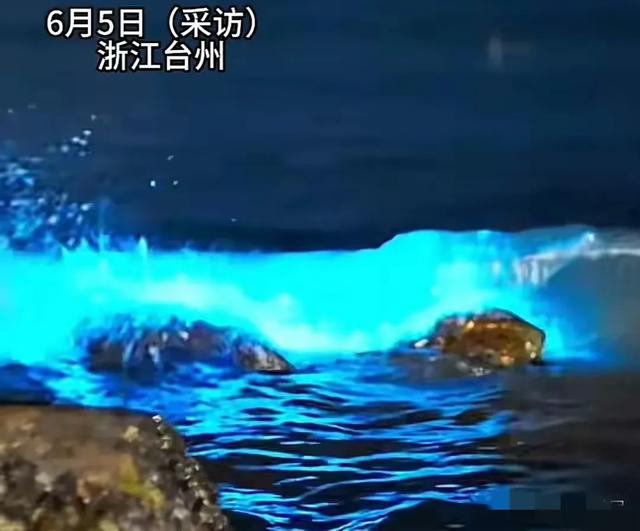 想看藍眼淚！23歲女子「快天黑衝一波」失聯9天　發現時「早已腐爛」：更多細節曝光