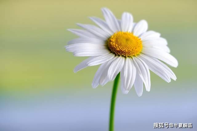 夫妻AA制10年！她罹癌「600萬存款全給娘家」丈夫衝進病房大罵　辦完身後事「他突收一封簡訊」崩潰了