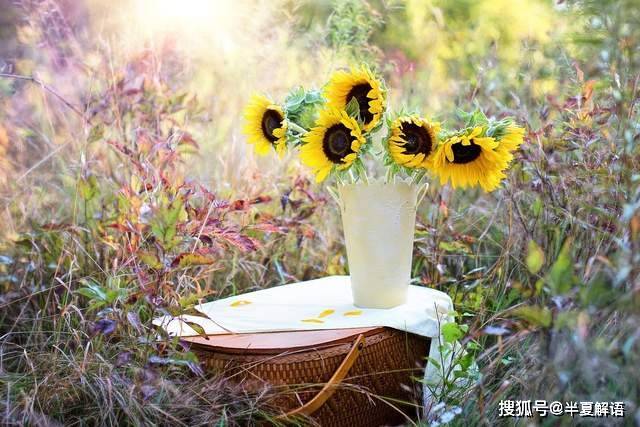 夫妻AA制10年！她罹癌「600萬存款全給娘家」丈夫衝進病房大罵　辦完身後事「他突收一封簡訊」崩潰了