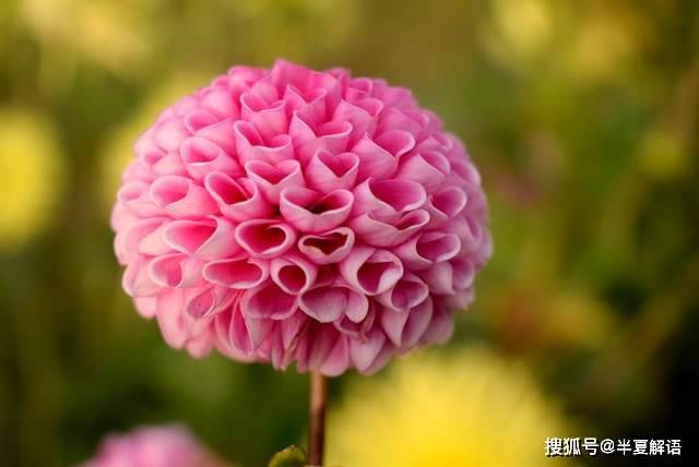 夫妻AA制10年！她罹癌「600萬存款全給娘家」丈夫衝進病房大罵　辦完身後事「他突收一封簡訊」崩潰了
