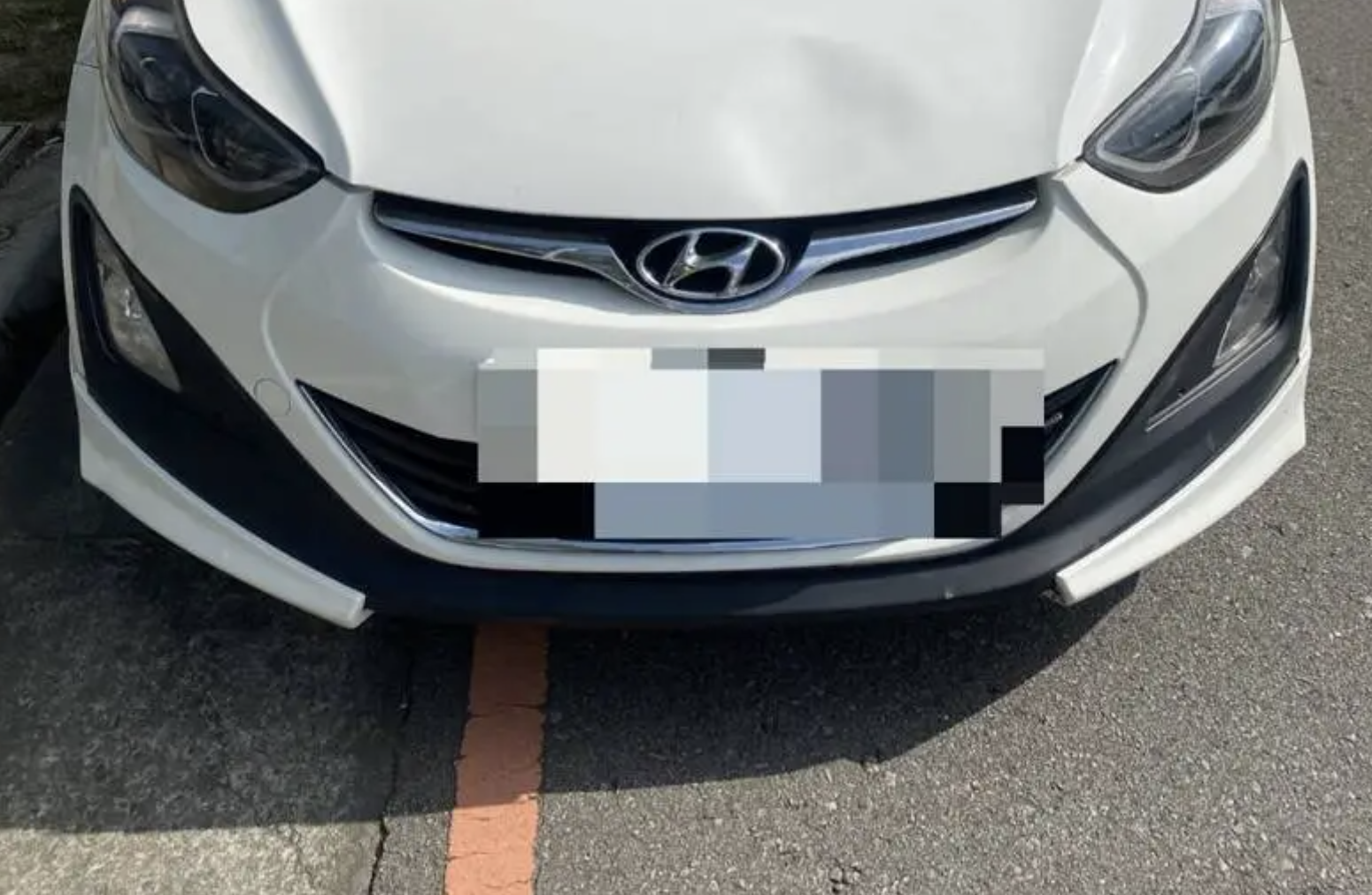 出門散步遭莽婦開車撞！飼主當場命危「柴犬路上狂奔不見蹤影」　最終去向曝光