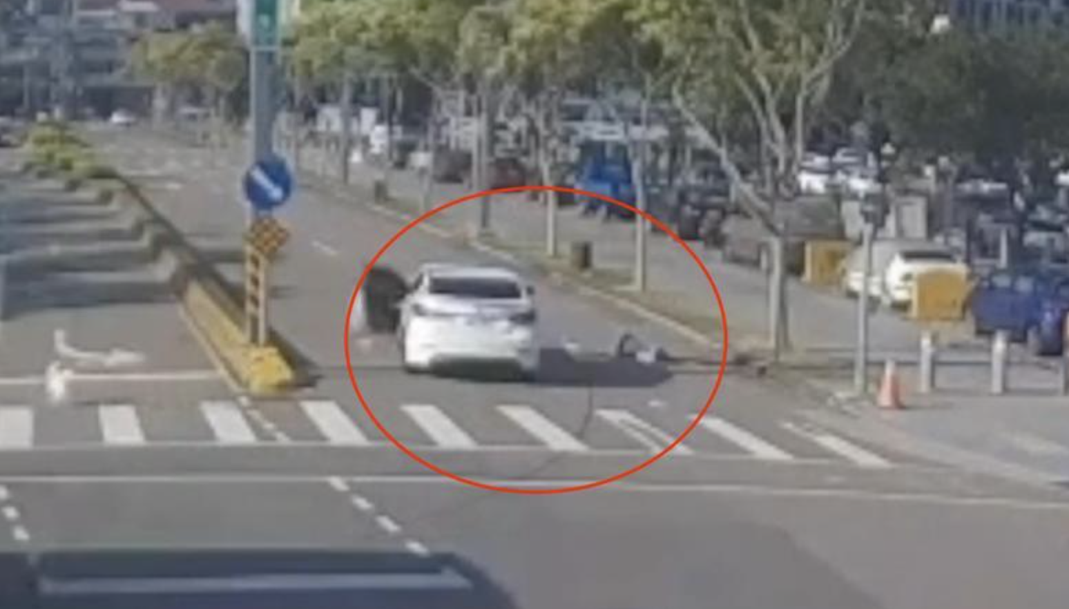 出門散步遭莽婦開車撞！飼主當場命危「柴犬路上狂奔不見蹤影」　最終去向曝光