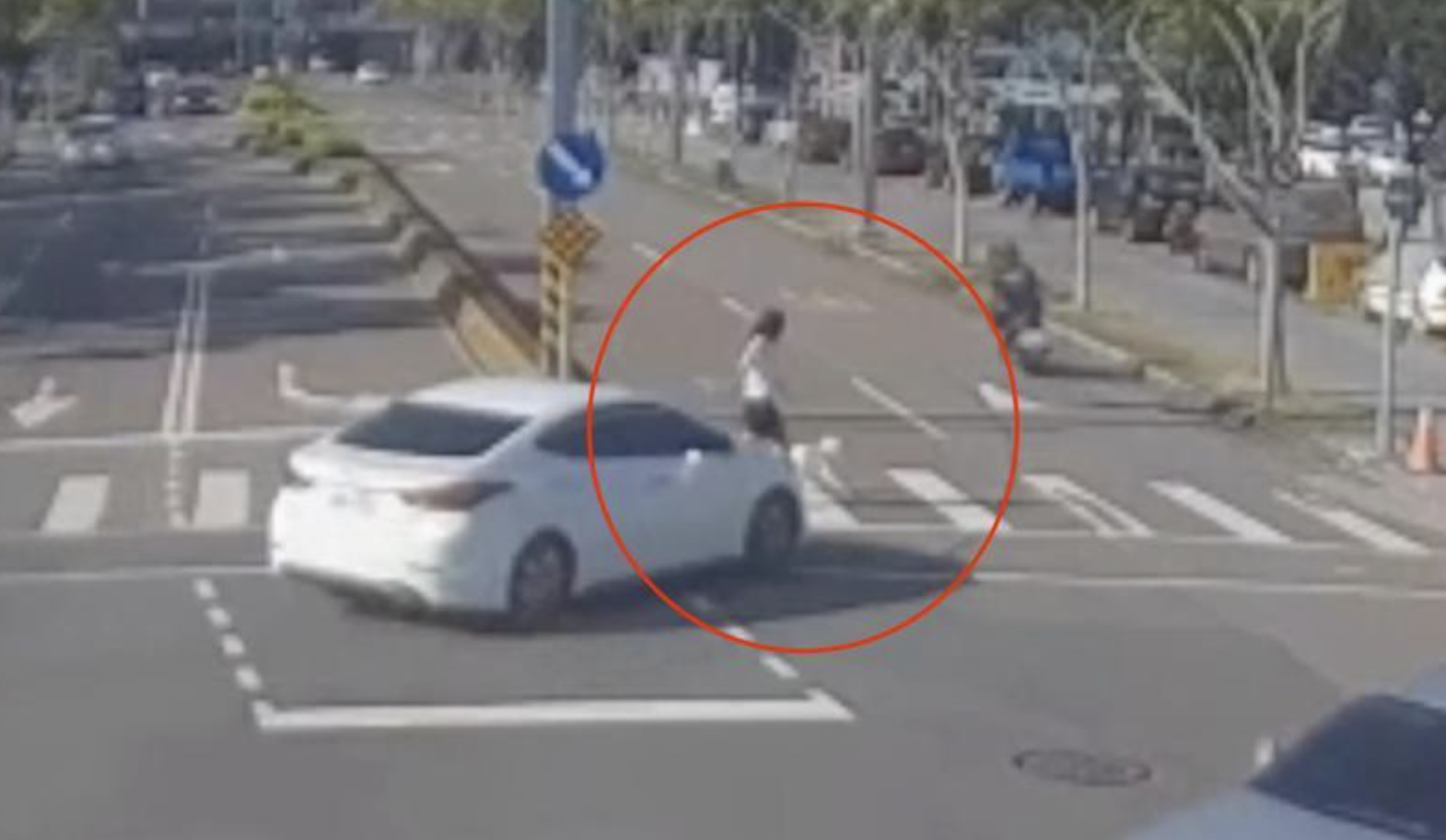 出門散步遭莽婦開車撞！飼主當場命危「柴犬路上狂奔不見蹤影」　最終去向曝光