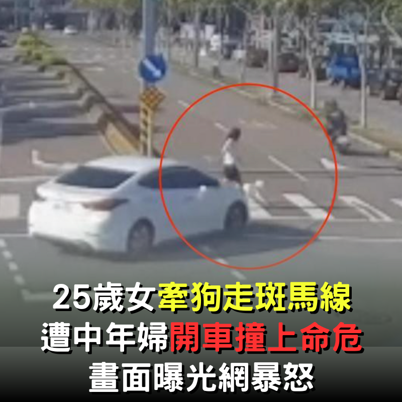 驚悚瞬間！25歲女子遛狗過馬路遭撞命危 肇事駕駛「未注意」釀禍