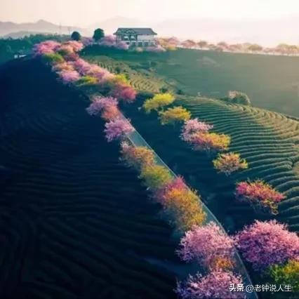 你的善良要有鋒芒！拿捏一個人「最狠毒」的方式靠這三點