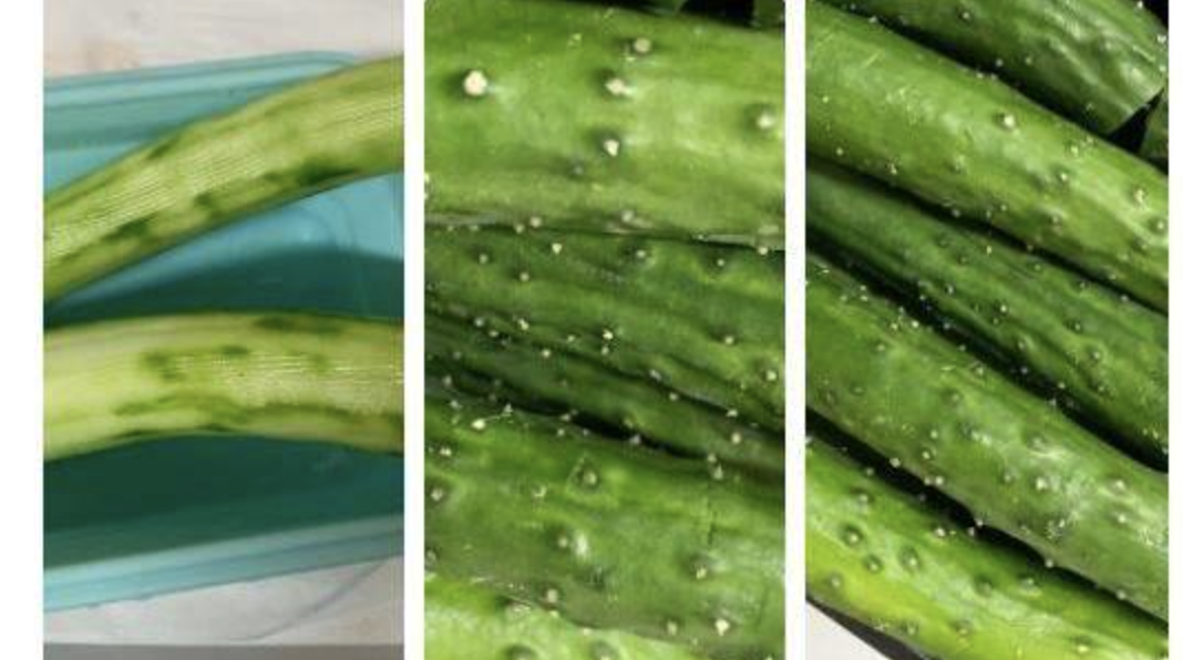水做的蔬菜！醫生大推「吃它緩解便秘」還能減重　2類人注意「吃之前燙十秒」：更溫和好消化