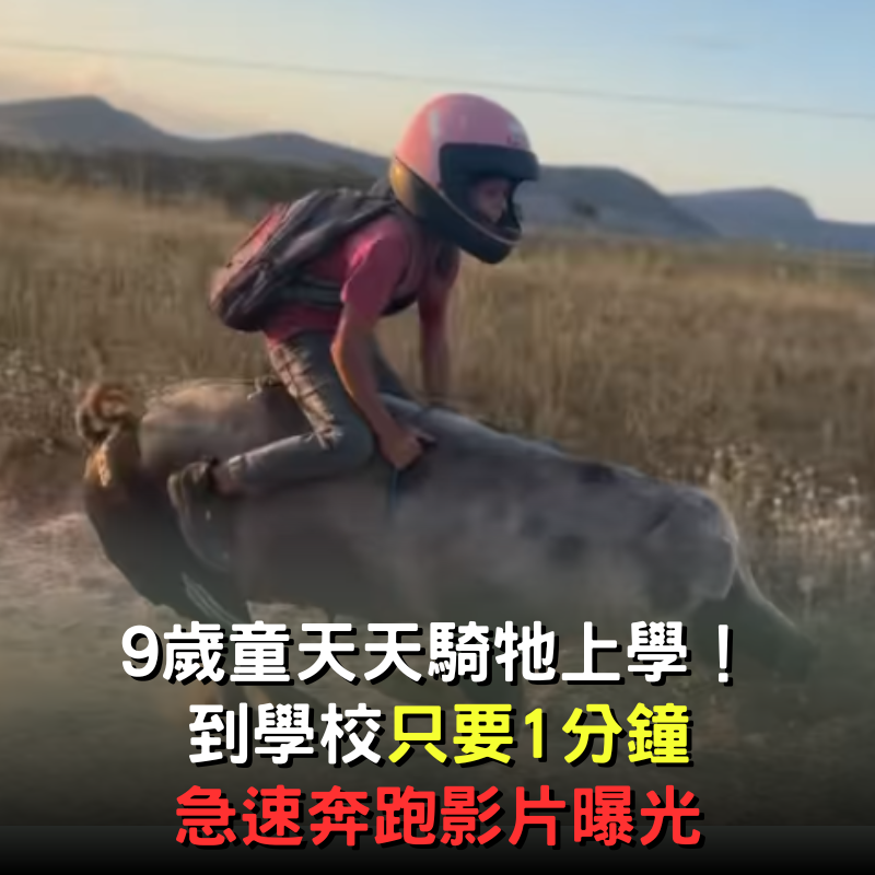 人家搭車我搭動物！9歲男童「天天騎牠上學」　急速奔跑到學校「只要1分鐘」