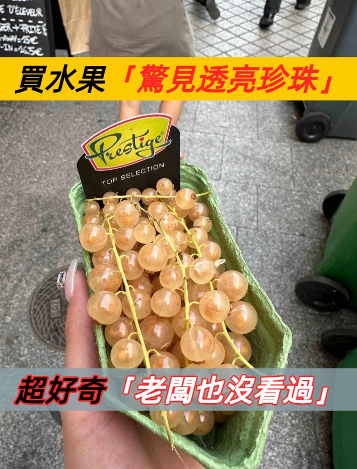 好像透亮珍珠！留學生逛市場「發現神秘水果」連老闆也沒看過　專業網友解答「好吃又營養」