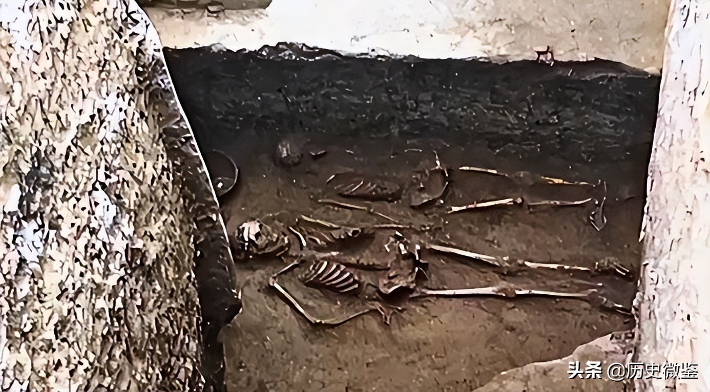 連續7天夢到亡母！兒子堅持開棺「媽媽遺體不見了」　報警搜查「又驚見4骸骨」兇手竟是他