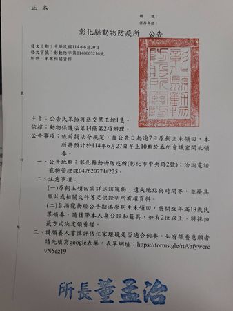 彰化驚見超罕見「黑王蛇」！整尾「黑金透亮」民眾搶認養原因曝光