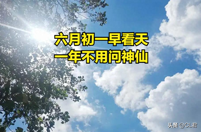 六月初一到！俗話早看天「一年不用問神仙」　出現一情況「是個好預兆」：年景好