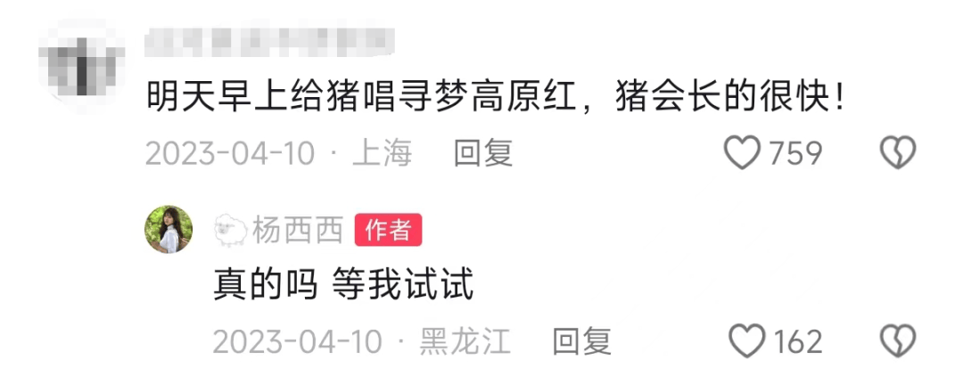 27歲空姐裸辭「決心回家養豬」！從不被看好到「賺破100萬」只花2個月