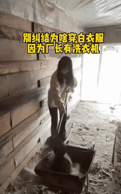 27歲空姐裸辭「決心回家養豬」！從不被看好到「賺破100萬」只花2個月