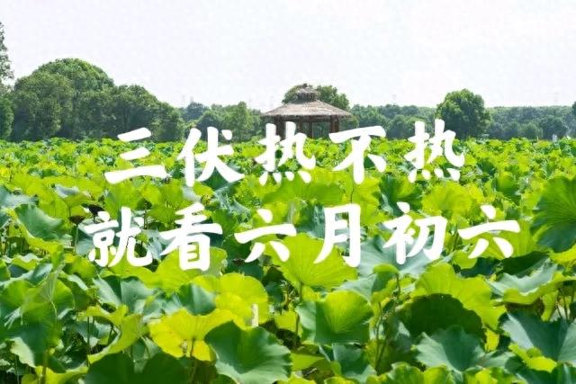 「三伏熱不熱，就看六月初六」看今天就知道，今年夏天會很熱嗎