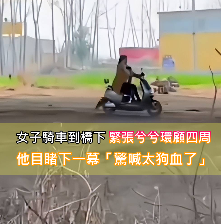 她騎車到橋底下！緊張兮兮「環顧草叢一圈」　精彩下一秒「他全程目擊」：有瓜可以吃了