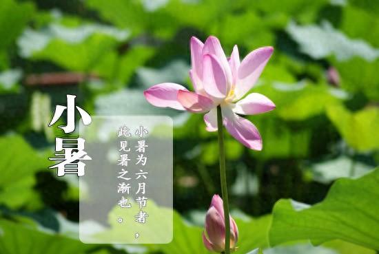 7月7日小暑！今年小暑不一般「60年才一遇」　「3大特點」早看早準備