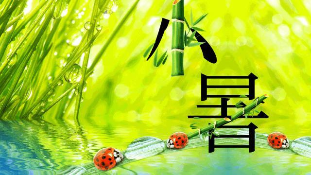 7月7日小暑！今年小暑不一般「60年才一遇」　「3大特點」早看早準備