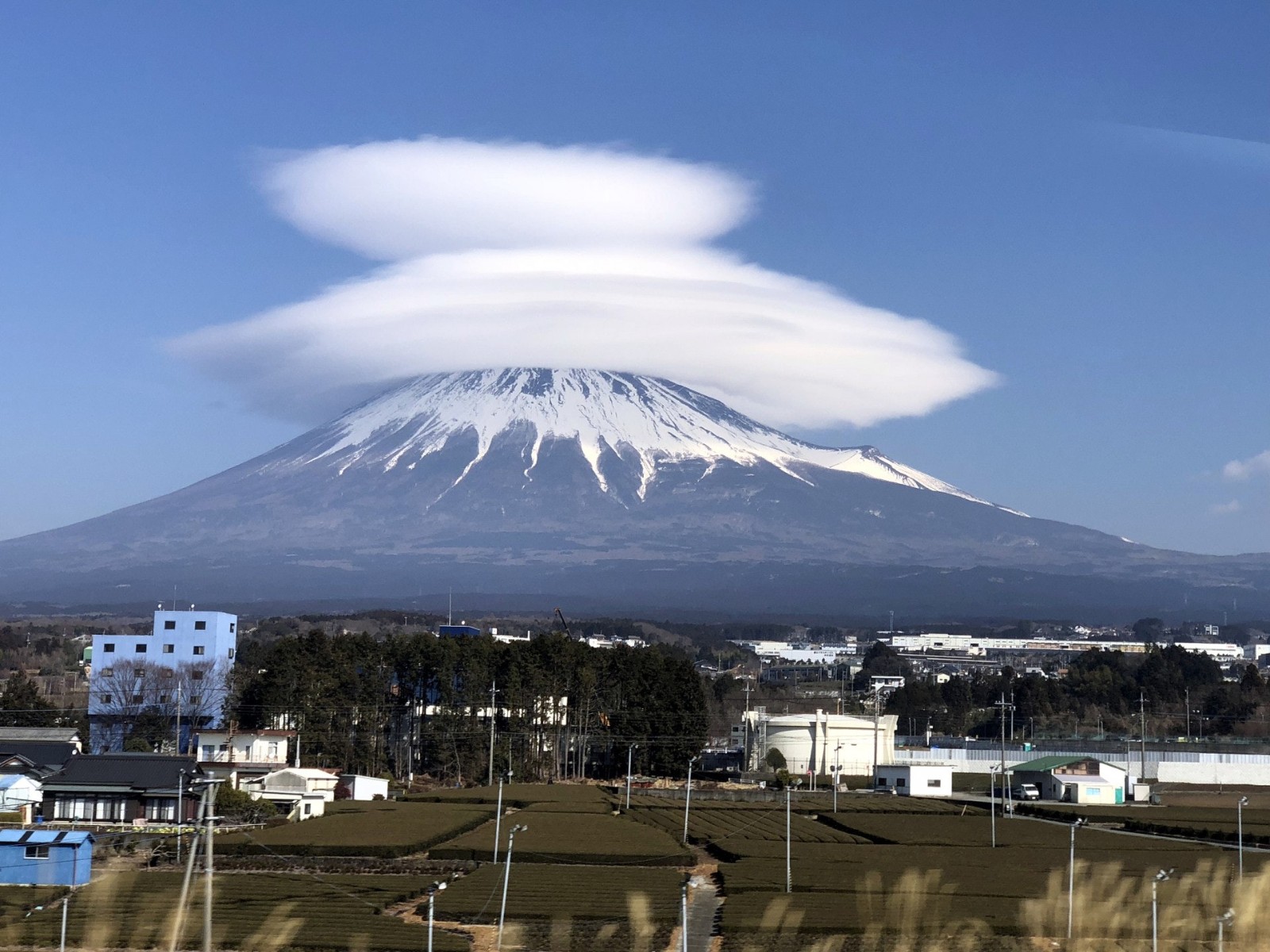 7/5災難會成真？他揭預言內幕「痛斥胡說八道」　只有「這1次命中」：別自己嚇自己