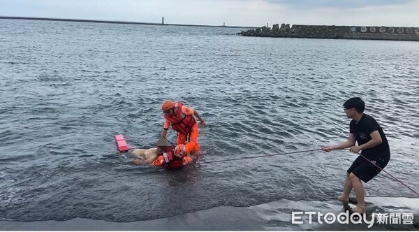 3惡犬追入海！高雄76歲老翁「大面積咬痕」溺水身亡　動保處出手了