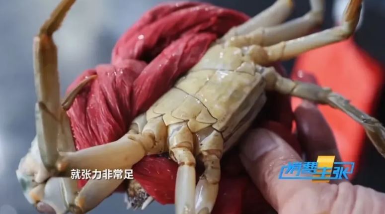 傷口才米粒大！老人不在意「皮膚變黑流膿」　不到24小時休克「截肢不治」