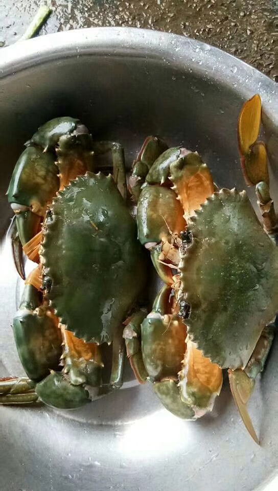 傷口才米粒大！老人不在意「皮膚變黑流膿」　不到24小時休克「截肢不治」