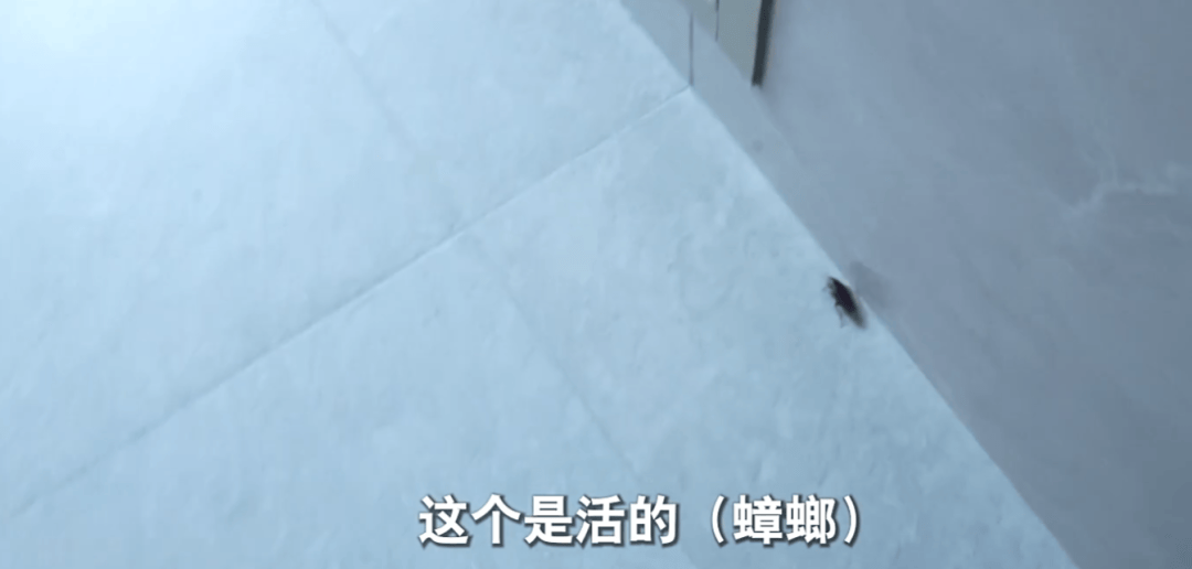 花810萬網購！66歲阿姨「包裹堆滿2間房」沒地方睡覺　揭「背後原因」：錢用完了就沒人來借了