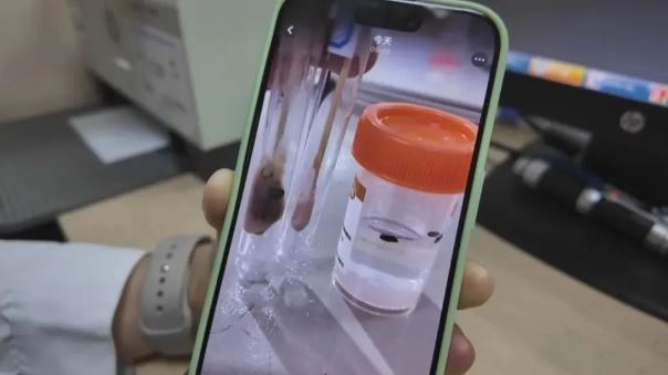 「脖子凸一塊」疼痛難耐！他急入院開刀「驚見7顆黑黑的」　醫傻眼喊「竟藏了20年」...