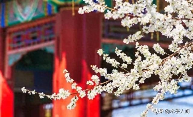 夫妻步入中年「婚姻最難維繫」！婚姻破裂的前兆：不是吵架「而是這4個細節」