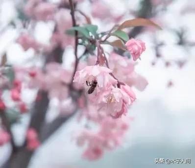 夫妻步入中年「婚姻最難維繫」！婚姻破裂的前兆：不是吵架「而是這4個細節」