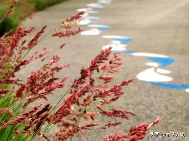 夫妻步入中年「婚姻最難維繫」！婚姻破裂的前兆：不是吵架「而是這4個細節」