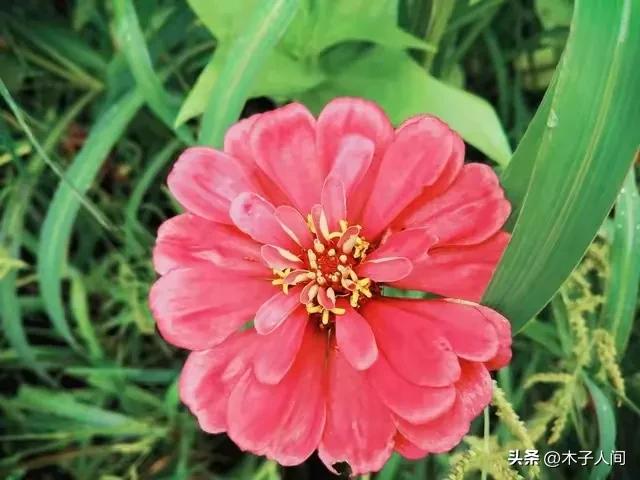 夫妻步入中年「婚姻最難維繫」！婚姻破裂的前兆：不是吵架「而是這4個細節」