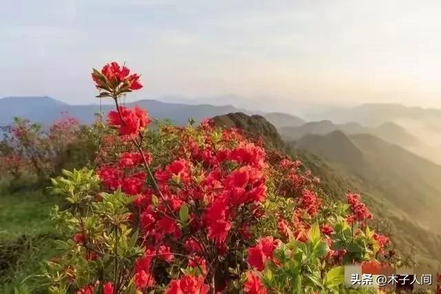 夫妻步入中年「婚姻最難維繫」！婚姻破裂的前兆：不是吵架「而是這4個細節」