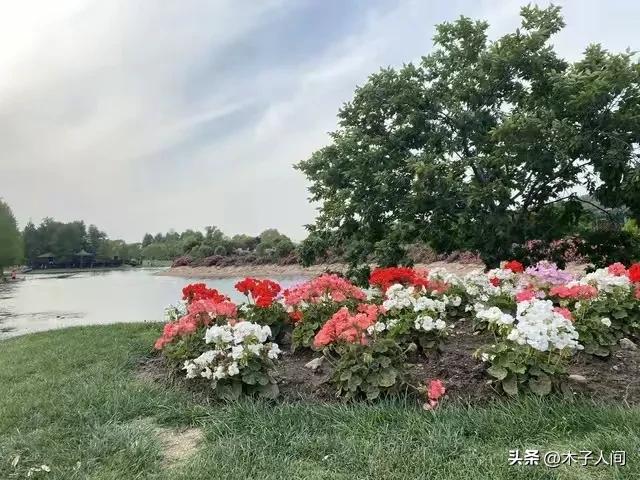 夫妻步入中年「婚姻最難維繫」！婚姻破裂的前兆：不是吵架「而是這4個細節」