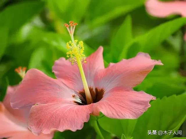 夫妻步入中年「婚姻最難維繫」！婚姻破裂的前兆：不是吵架「而是這4個細節」