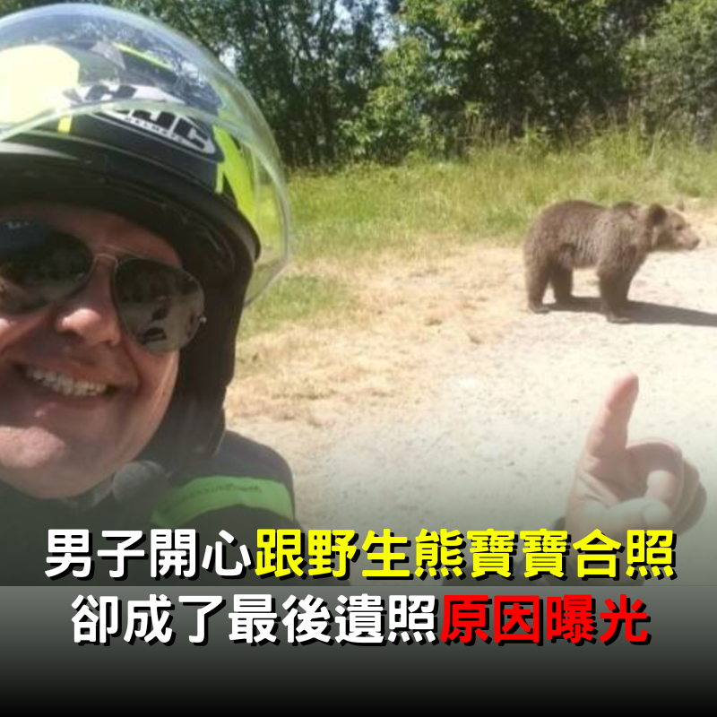 上秒才開心跟「野生熊寶寶合照」！沒想到卻成「最後遺照」原因曝光