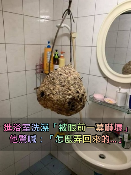 下班想洗澡！他一進浴室「眼前一幕當場傻住」　驚問父母「怎麼弄回來的」無奈：我是親生的嗎