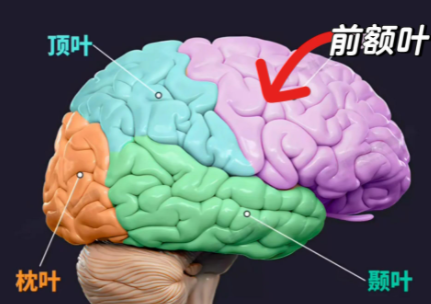 大腦開始萎縮「走路會知道」？如果出現「5種狀況」速速就醫！