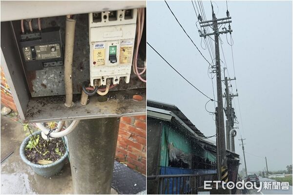嘉義驚傳「百隻豬離奇慘叫當場暴斃」！　豬農心痛「控台電疏失」：颱風來時反而沒事