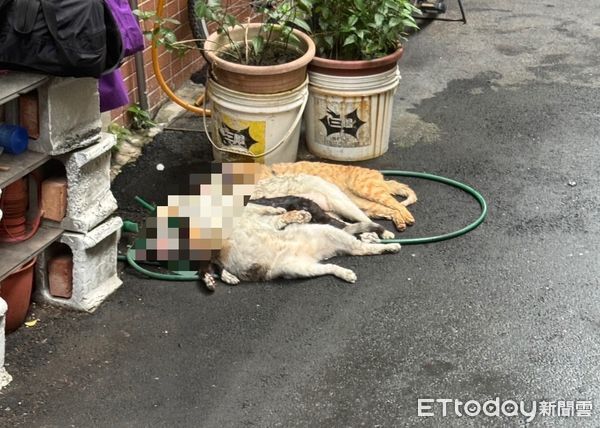 快訊／三重民宅「驚見1男陳屍二樓」！　警消破門救援：「已失去6條性命...」