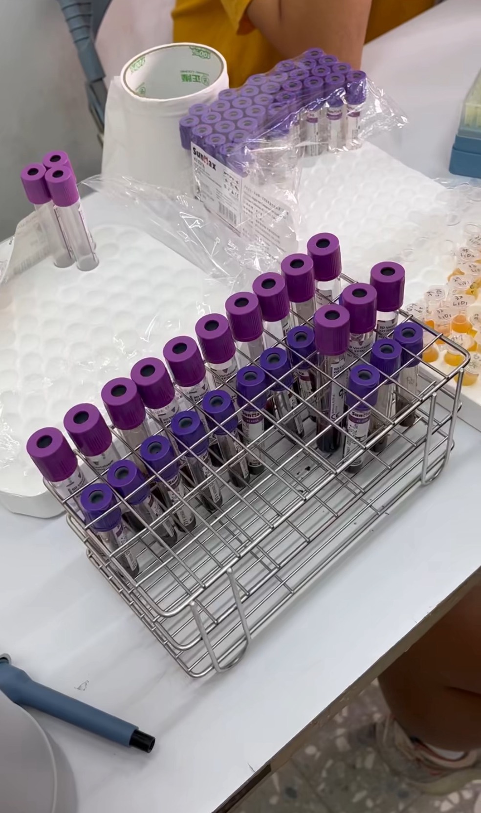 抽血換學分／台師大女足「血液實驗目的曝光」！強抽血5000管2.5萬毫升「國科會補助2600萬」