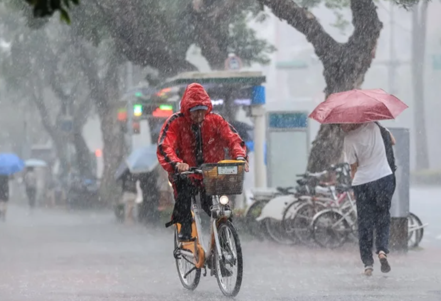 薇帕恐升級中颱！氣象署公開「4縣市達停班課標準」　最新風雨預測出爐
