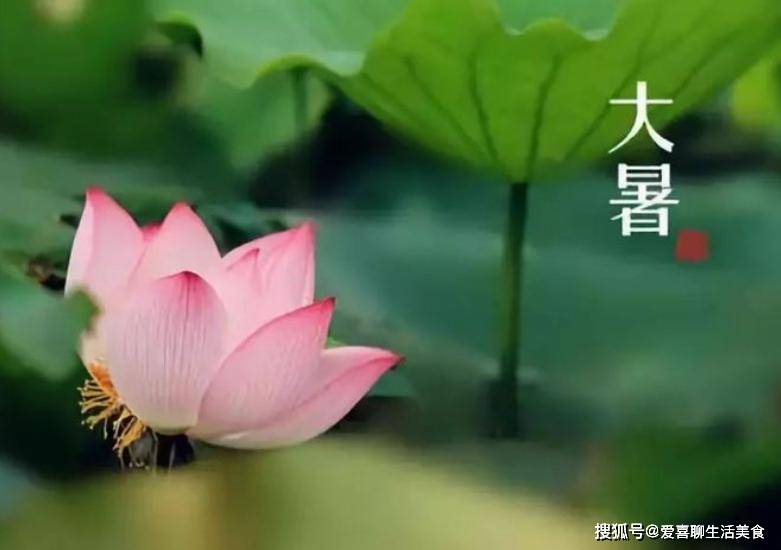 7月22大暑！記得「吃3瓜、喝3湯、咬3根」　清熱解毒「健康過三伏」